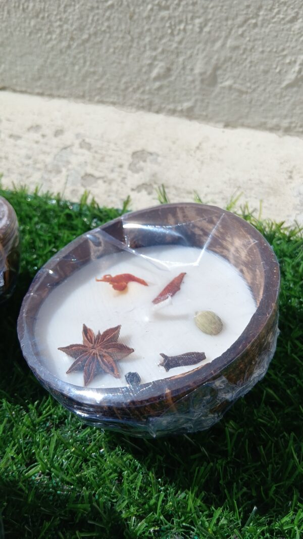 Coconut Shell Spiced Candle Holder