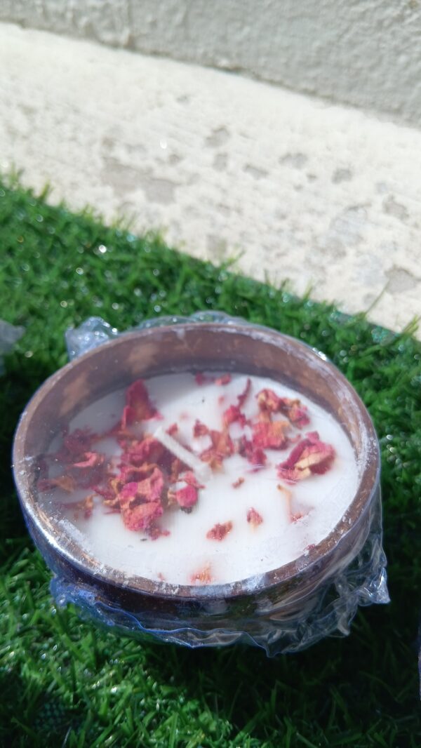 Coconut Shell Spiced Candle Holder