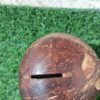 Coconut Shell Piggy Bank