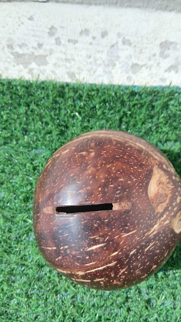 Coconut Shell Piggy Bank