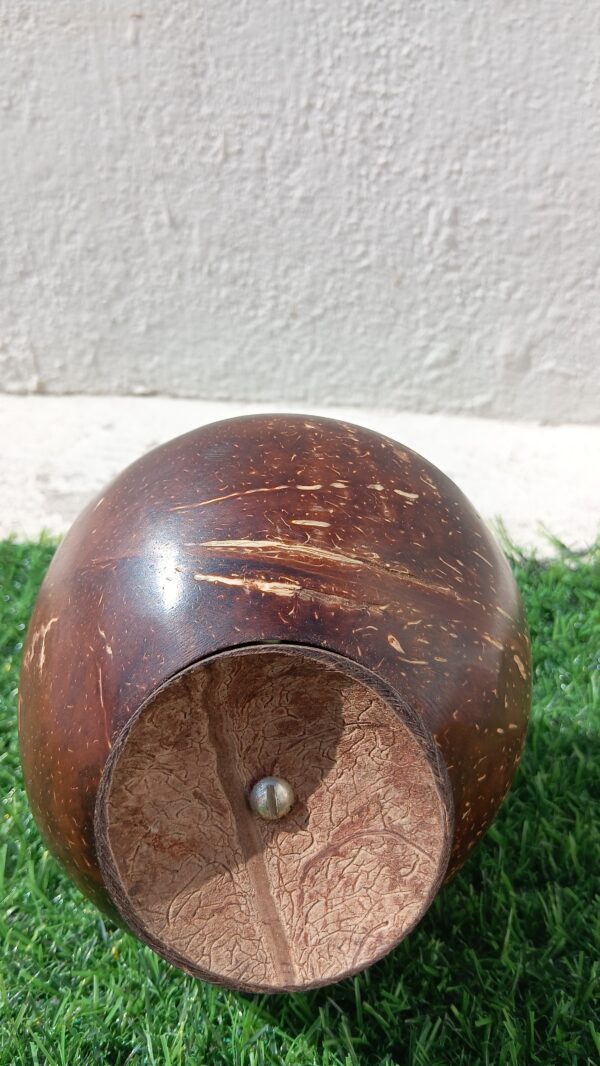 Coconut Shell Piggy Bank