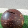 Coconut Shell Piggy Bank