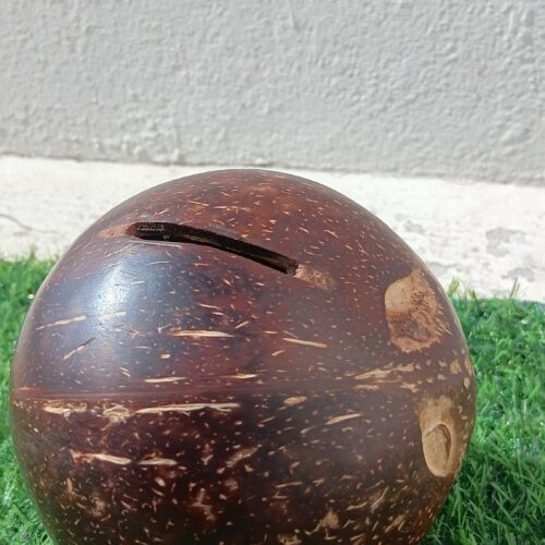 Coconut Shell Piggy Bank