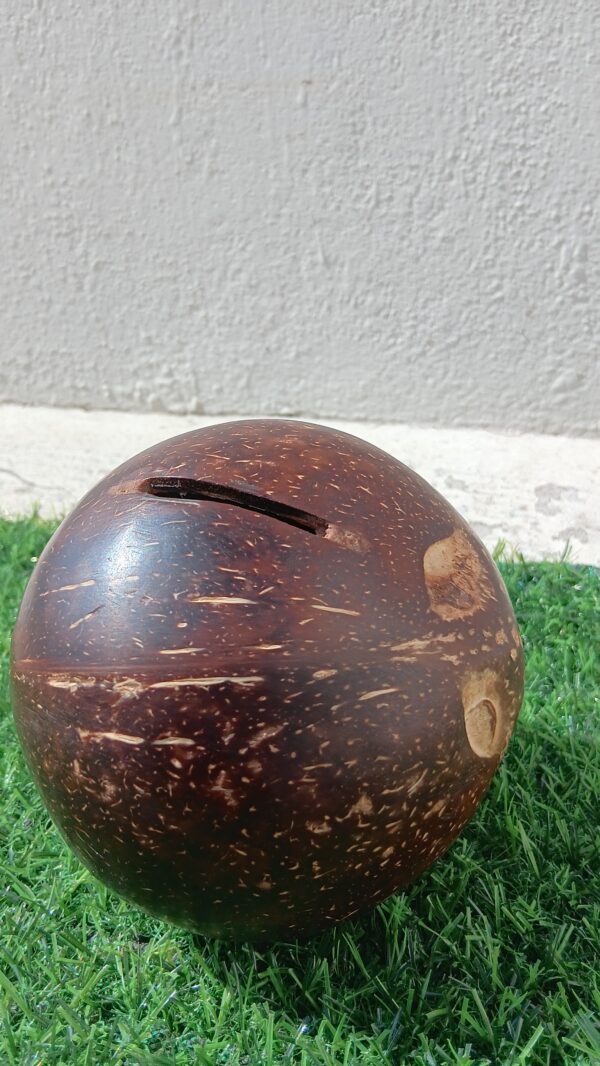 Coconut Shell Piggy Bank
