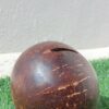 Coconut Shell Piggy Bank