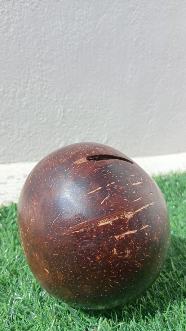 Coconut Shell Piggy Bank
