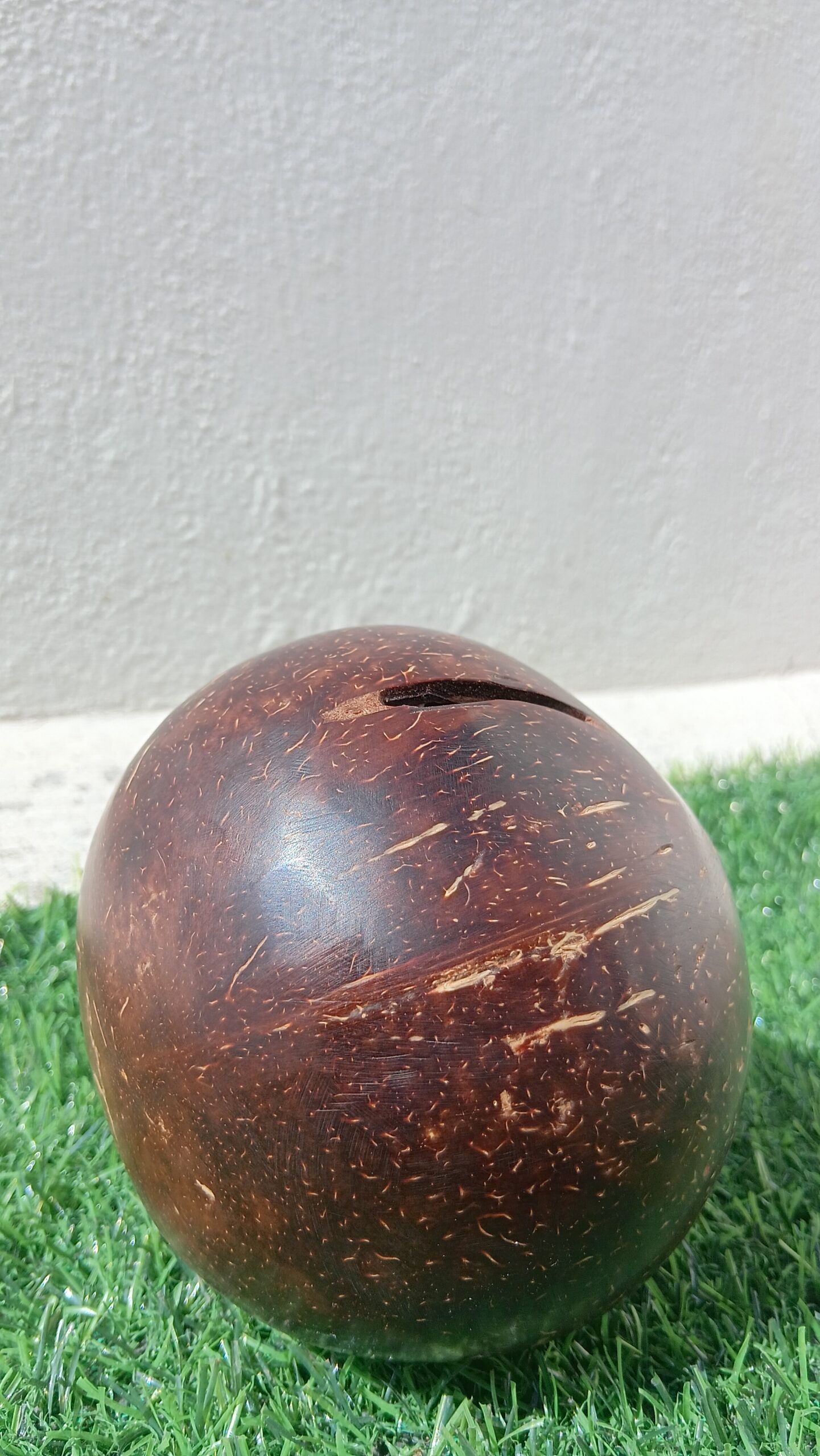 Coconut Shell Piggy Bank - Image 4