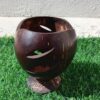Coconut Shell Pen Stand