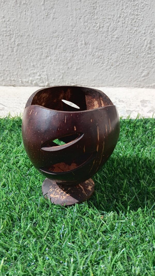Coconut Shell Pen Stand