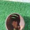 Coconut Shell Pen Stand
