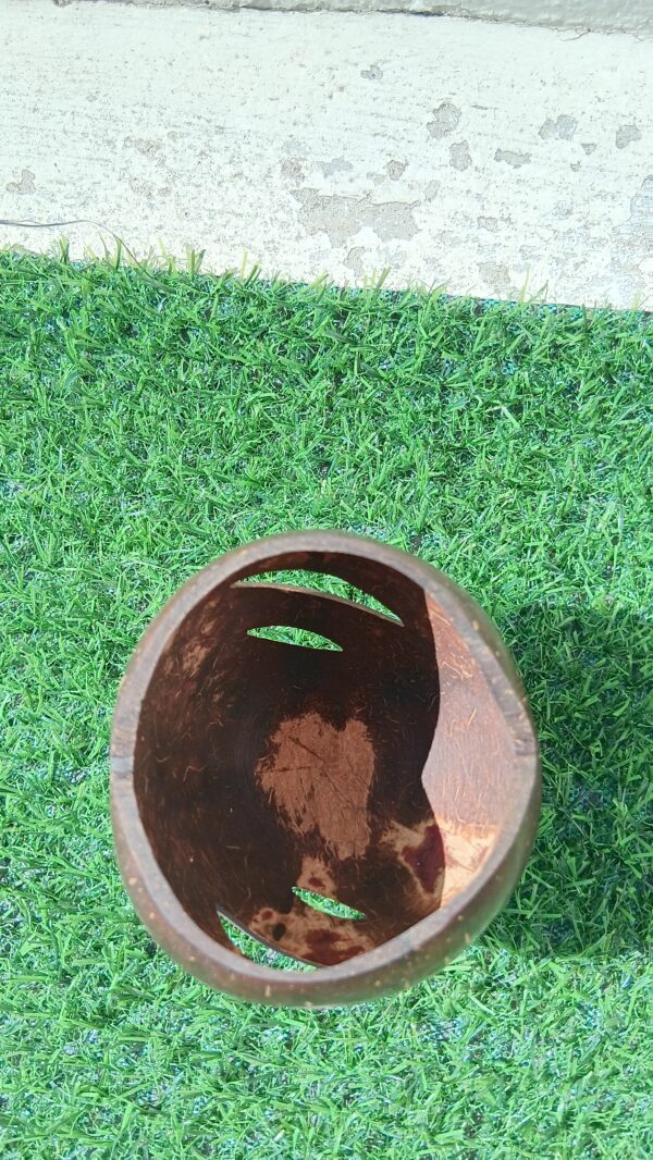 Coconut Shell Pen Stand