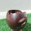 Coconut Shell Pen Stand