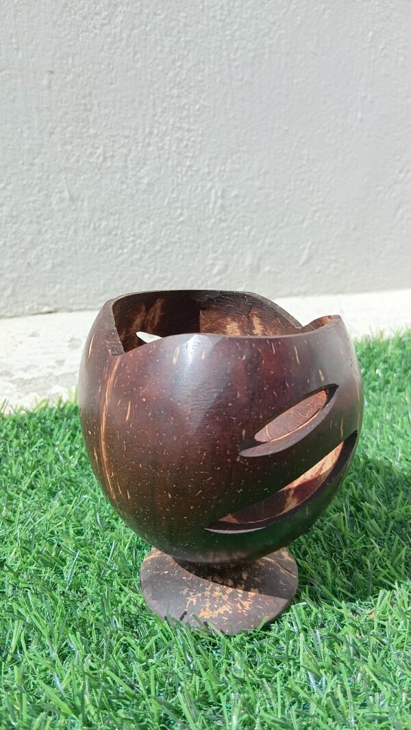 Coconut Shell Pen Stand