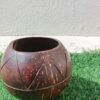 Coconut Shell Indoor planter