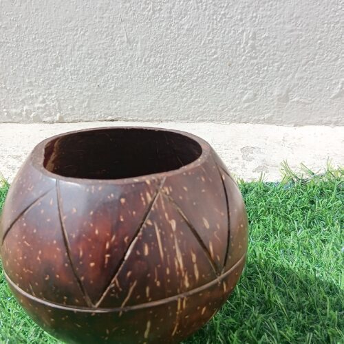 Coconut Shell Indoor planter