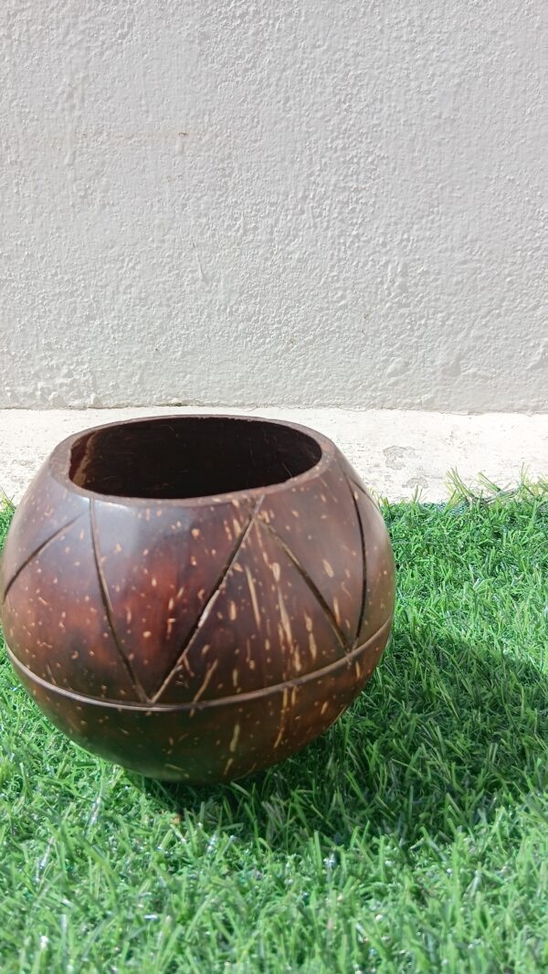 Coconut Shell Indoor planter
