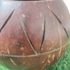 Coconut Shell Indoor planter