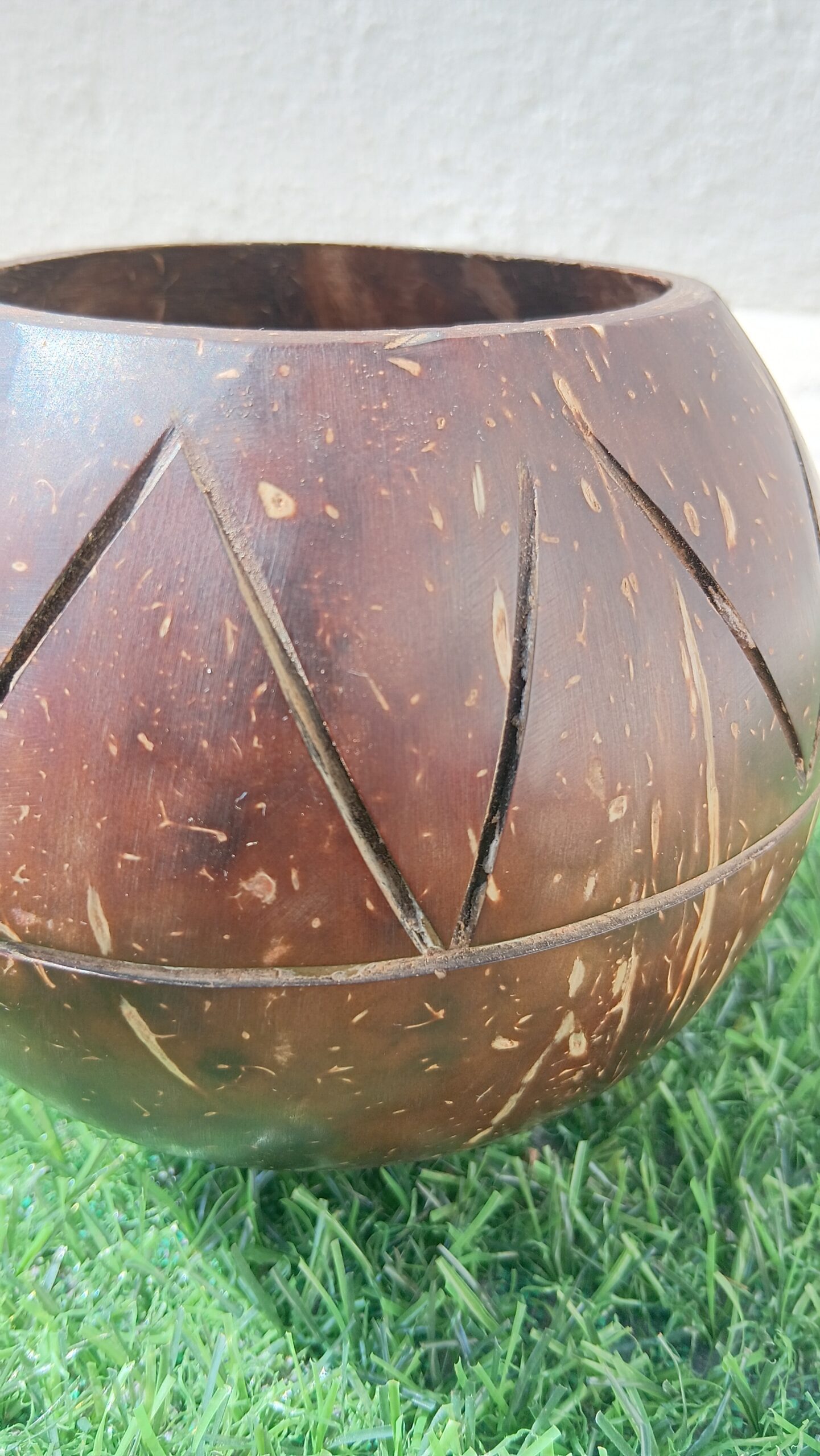 Coconut Shell Indoor planter
