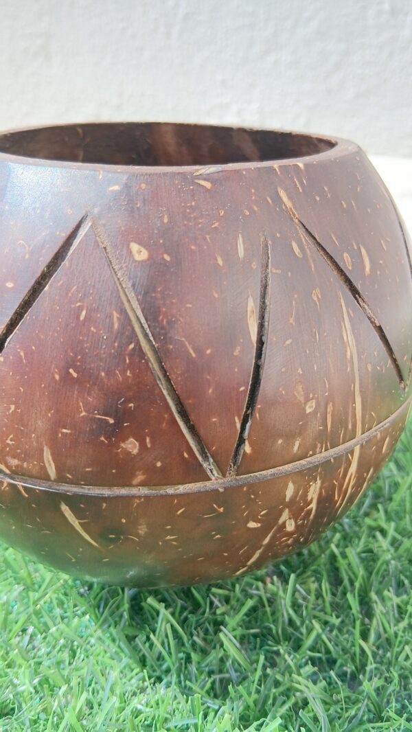Coconut Shell Indoor planter