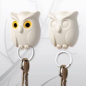 Owl Key Holder